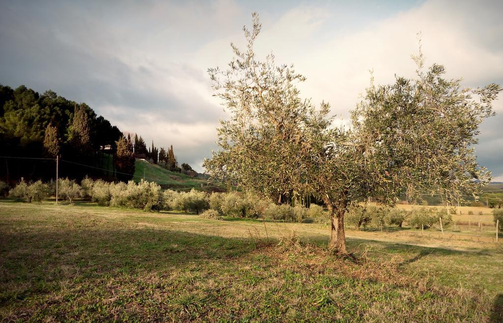 Podere Le Lame Farmhouse Riparbella Exterior foto